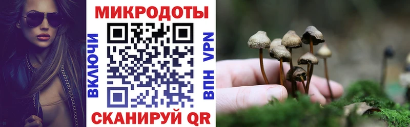 Псилоцибиновые грибы Psilocybine cubensis  OMG   Урай 